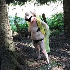 in the woods 5 gallery image