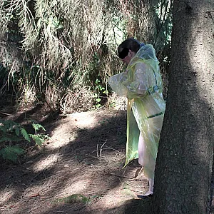 in the woods 5 gallery image