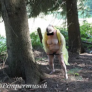 in the woods 5 gallery image