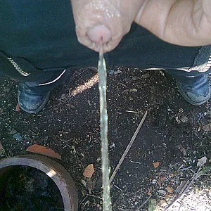 pee gallery image