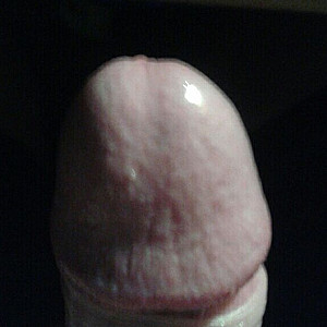 my cock gallery image