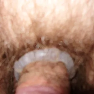 my cock gallery image