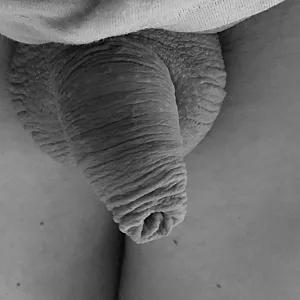 cock gallery image