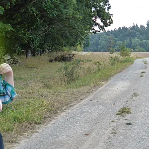 in field gallery image