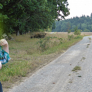 am freien Feld Galeriebild