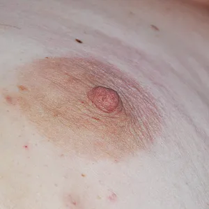 some pics from us gallery image