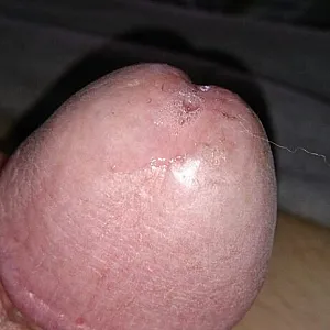 mal wieder etwas aktuelles Galeriebild