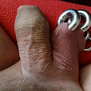 my piercings gallery image