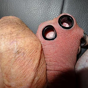 my piercings gallery image