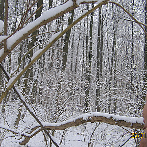 Das erste Bild von badener68's Galerie - Im Schnee