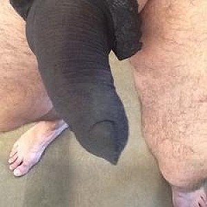 my neighbors nylons gallery image
