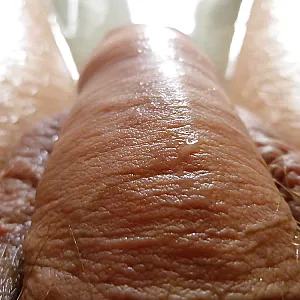 ass and cock gallery image