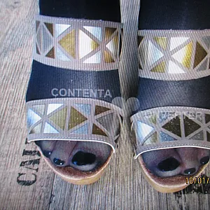 neue heels Galeriebild