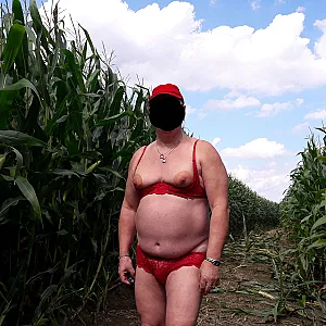 cornfield gallery image