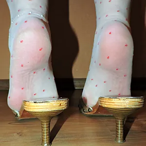 Fotze, Füße und Pünktschennylons Galeriebild