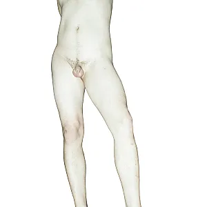 nude gallery image