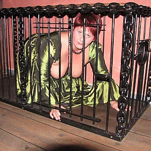 I must put behind bars gallery image