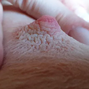just horny gallery image