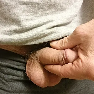 hard and hairy gallery image