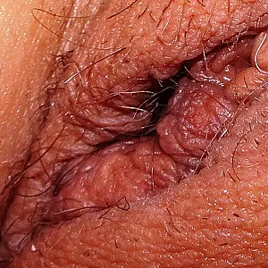 die schamlippen meiner frau Galeriebild