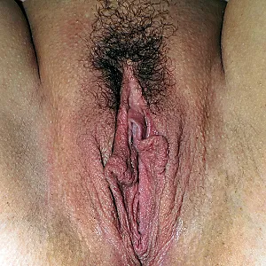 hairy pussy gallery image