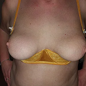 Tits in yellow gallery image