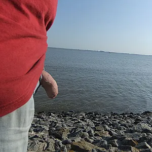 Geil am Deich spazieren gegangen Galeriebild