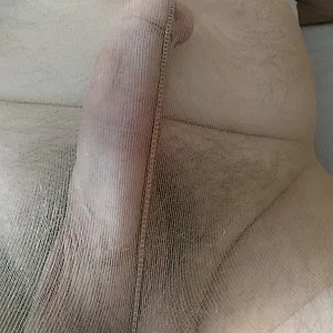 mein Steifer in Strumpfhose Galeriebild