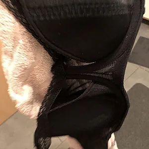 Heimlich mit dem BH und Tanga meiner geilen Mitbewohnerin Galeriebild