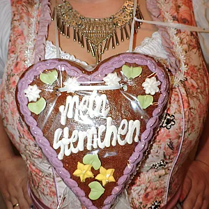 wiesn and horny in a dirndl gallery image