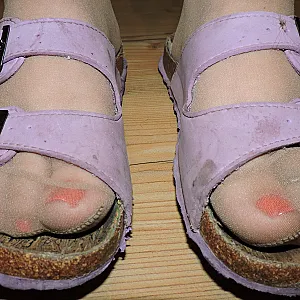Fotze mit Nylons und Birkis Galeriebild