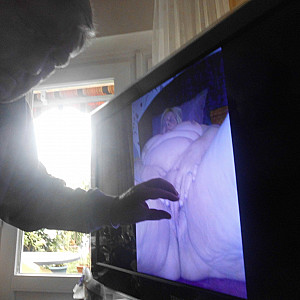 horney on teufelchens.tv gallery image