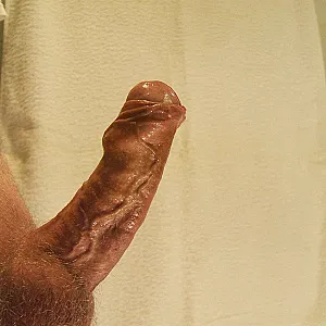 my cock 3 gallery image