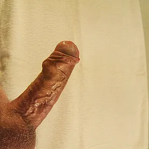 my cock 3 gallery image