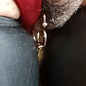 niplles and pierced pussy gallery image