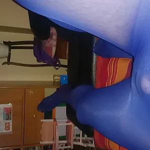 nylons gallery image