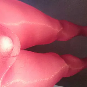 nylons gallery image