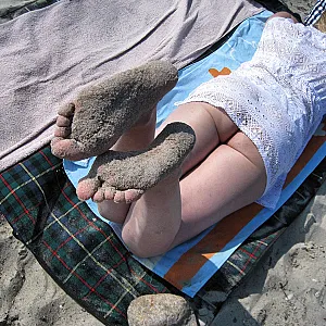 Spuren im Sand Galeriebild