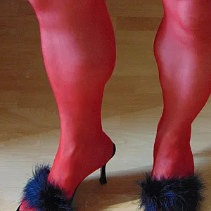heels and nylons gallery image