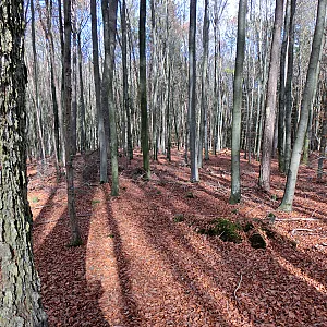 War ein schöner Herbst... Galeriebild