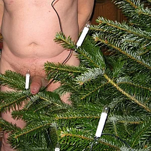 Weihnachten Galeriebild