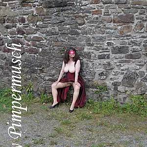 Burgruine 11 Galeriebild