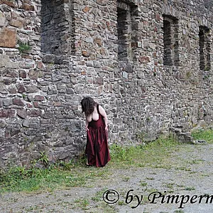 Burgruine 11 Galeriebild