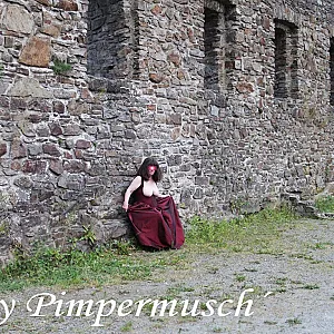 Burgruine 11 Galeriebild
