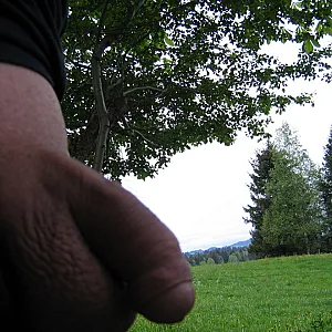 Ein bischen Natur Galeriebild