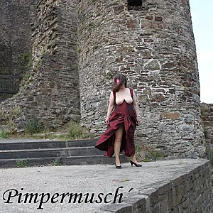 Burgruine  9 Galeriebild