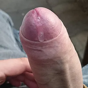 My dick gallery image