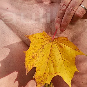 Herbstkeuchheit Galeriebild