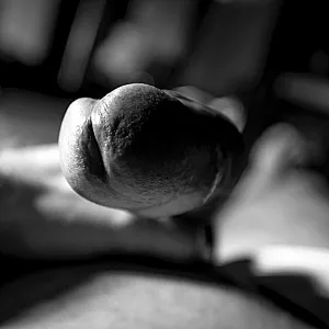 something new gallery image