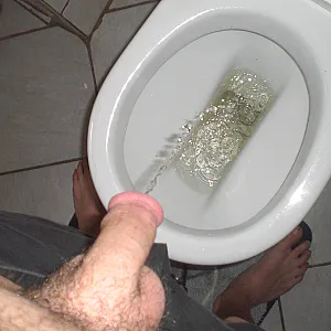 toilett gallery image